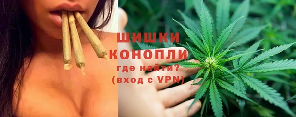 PSILOCYBIN Ростов