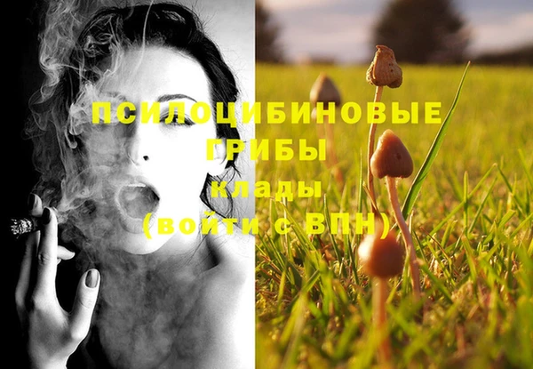 индика Абдулино