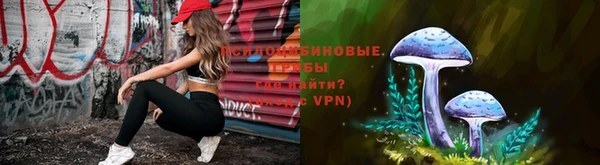 индика Абдулино