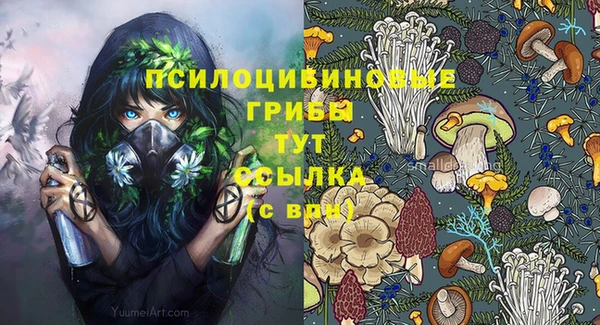 jwh Абаза