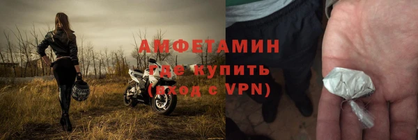 прущие грибы Абинск