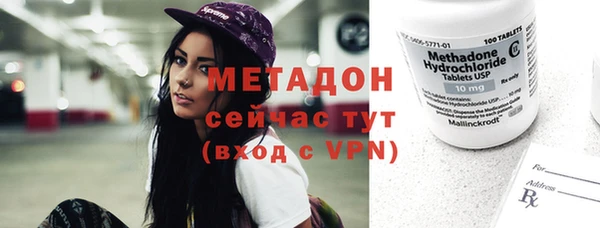 прущие грибы Абинск