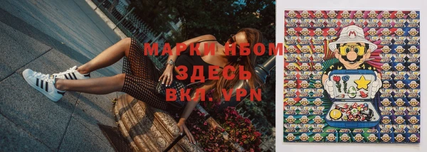 прущие грибы Абинск