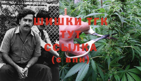 jwh Абаза