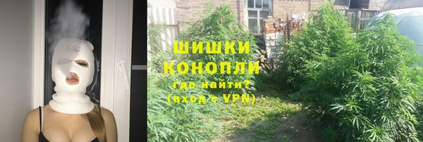 индика Абдулино