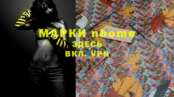 прущие грибы Абинск